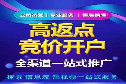 SEM代理的优化策略及成功案例